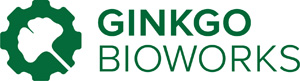 Ginkgo