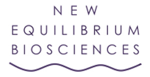 new-equilibrium
